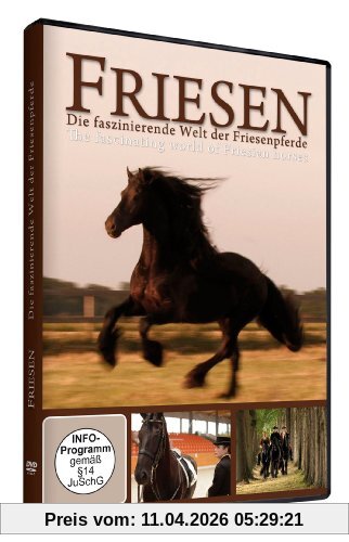 Friesen: Die faszinierende Welt der Friesenpferde
