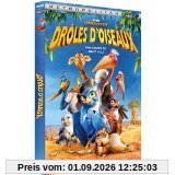 Drôles d'oiseaux [FR Import]