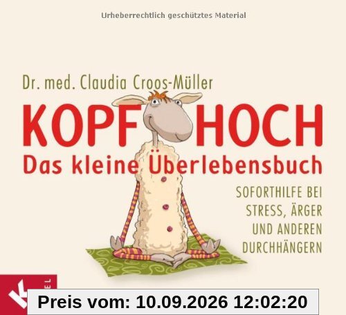 Kopf hoch - das kleine Überlebensbuch: Soforthilfe bei Stress, Ärger und anderen Durchhängern: Soforthilfe bei Stress, Ãrger und anderen Durchhängern