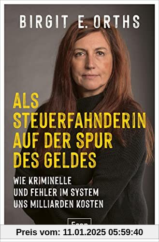 Als Steuerfahnderin auf der Spur des Geldes: Wie Kriminelle und Fehler im System uns Milliarden kosten | Steuerhinterzie