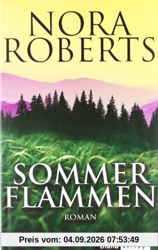 Sommerflammen: Roman