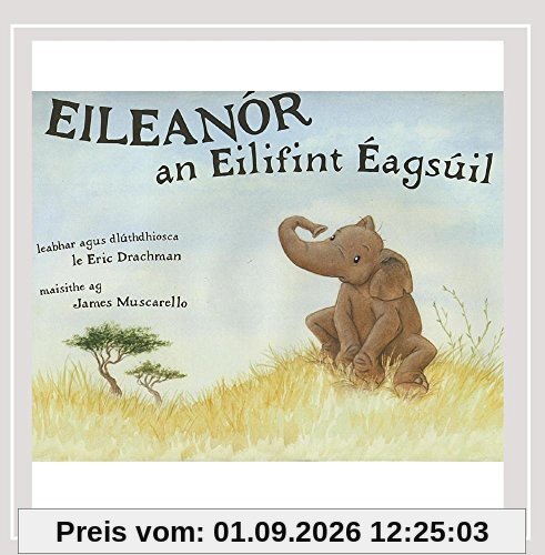 Eileanar An Eilifint Aagsail
