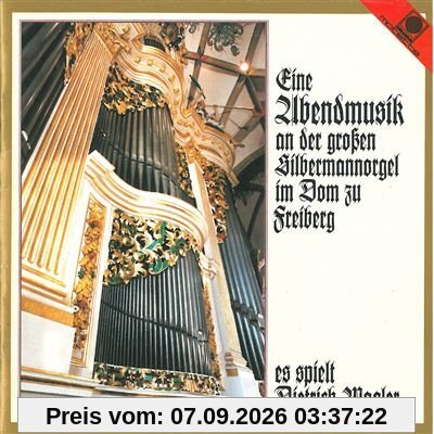 Eine Abendmusik An der Silbermann-Orgel Freiberg
