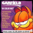 Garfield - Am I Cool or What?