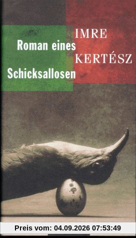 Roman eines Schicksallosen