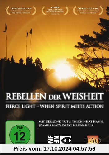 Rebellen der Weisheit: Fierce Light - When Spirit meets Action