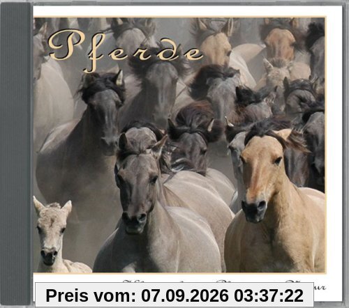 Pferde: Klangwelt der Pferde und Natur