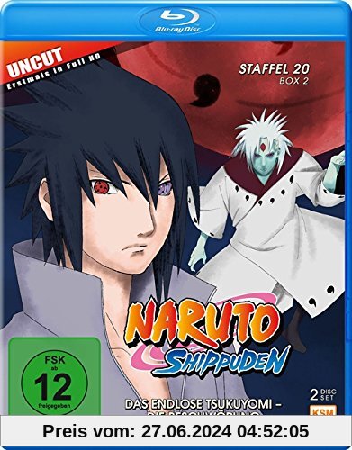 Naruto Shippuden - Das endlose Tsukuyomi - Die Beschwörung - Staffel 20.2: Folgen 642-651 [Blu-ray]