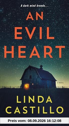 An Evil Heart: A Novel (Kate Burkholder, Band 15)