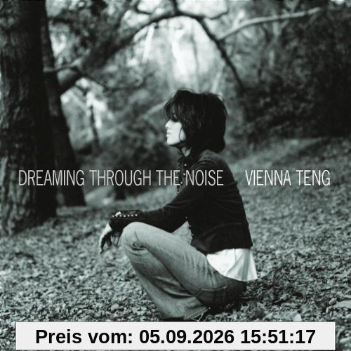 Dreaming Through the Noise