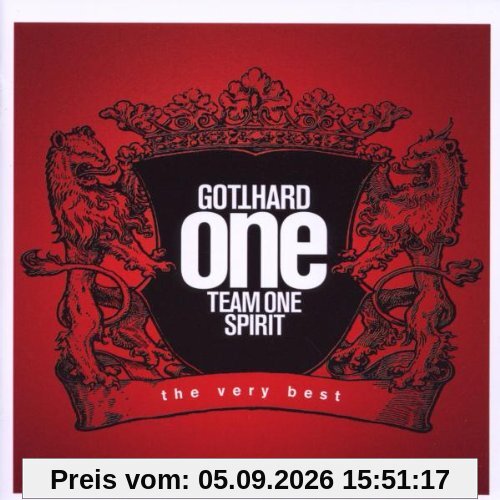 One Team One Spirit