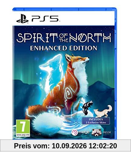 Spirit of the North (Playstation 5)