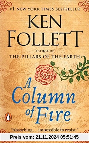 A Column of Fire: A Novel (Kingsbridge)