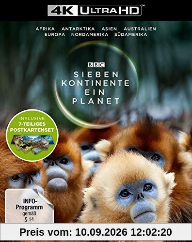 Sieben Kontinente - Ein Planet (4K UHD). Limited Edition mit Postkarten-Set - (exklusiv bei Amazon.de mit 7-teiligem Postkarten-Set) [Blu-ray]