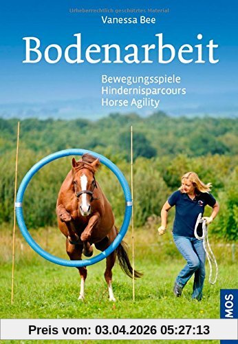 Bodenarbeit: Bewegungsspiele, Hindernisparcours, Horse Agility