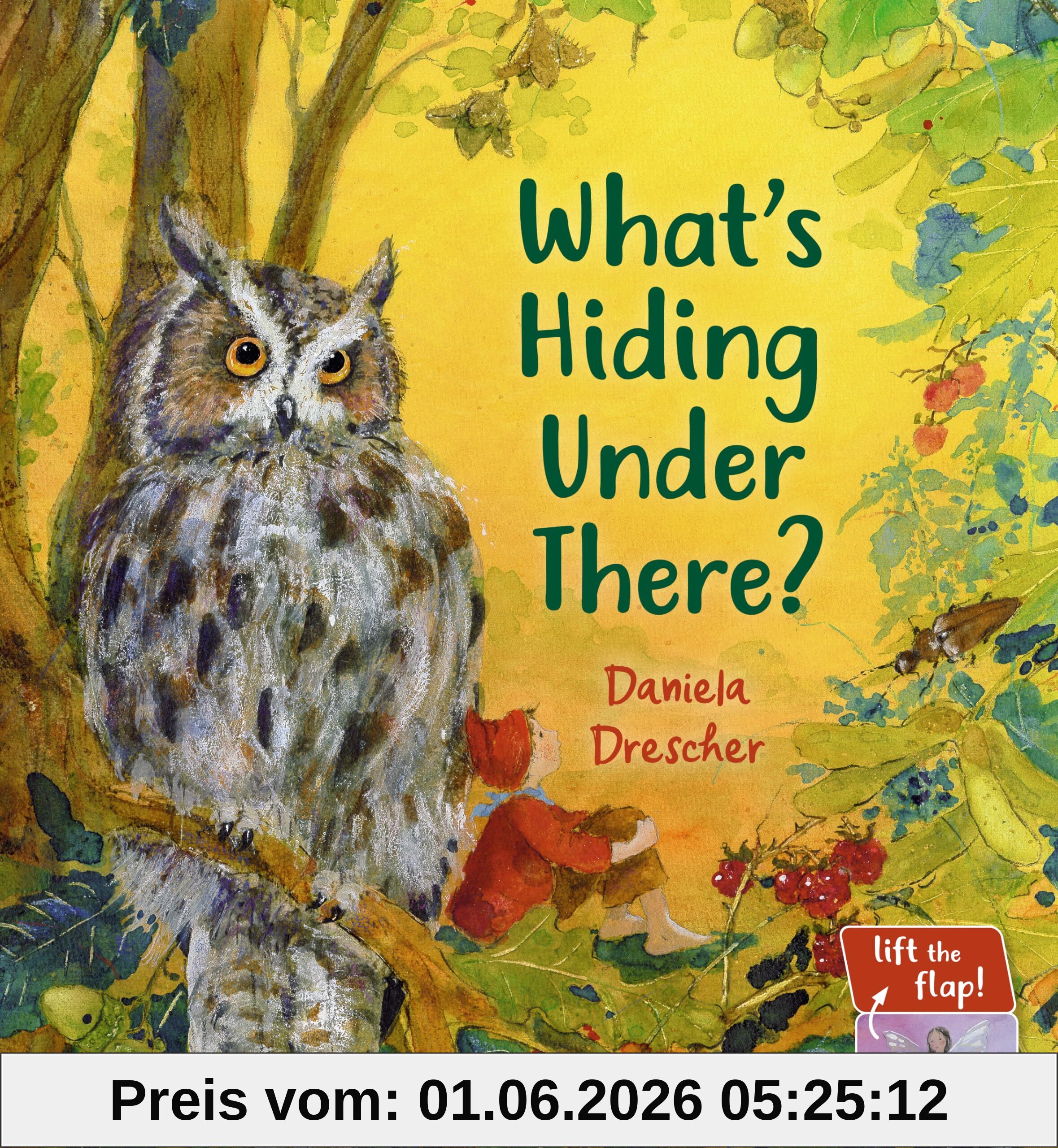 What's Hiding Under There?, A Magical Lift-the-flap Book (Daniela Drescher Favorite Characters)