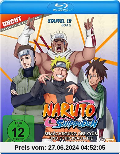 Naruto Shippuden - Staffel 12, Box 2 (481-495, 15 Folgen) (2-Disc-Set) (Blu-ray)