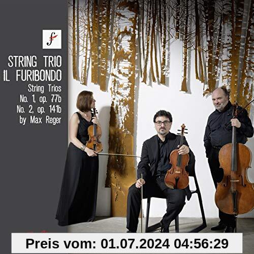 Reger: String Trios, Op. 77b & Op. 141b