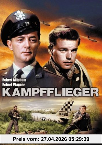 Die Kampfflieger