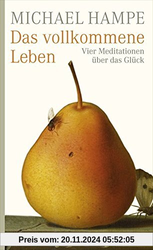 Das vollkommene Leben: Vier Meditationen über das Glück