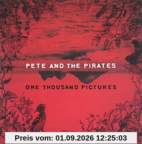 One Thousand Pictures