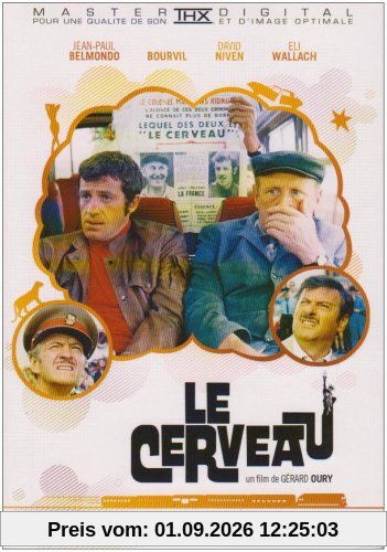 Le cerveau [FR Import]