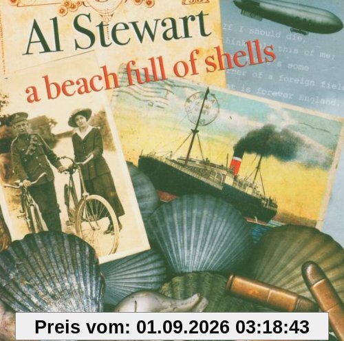 A Beach Full of Shells