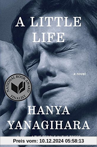 A Little Life: A Novel