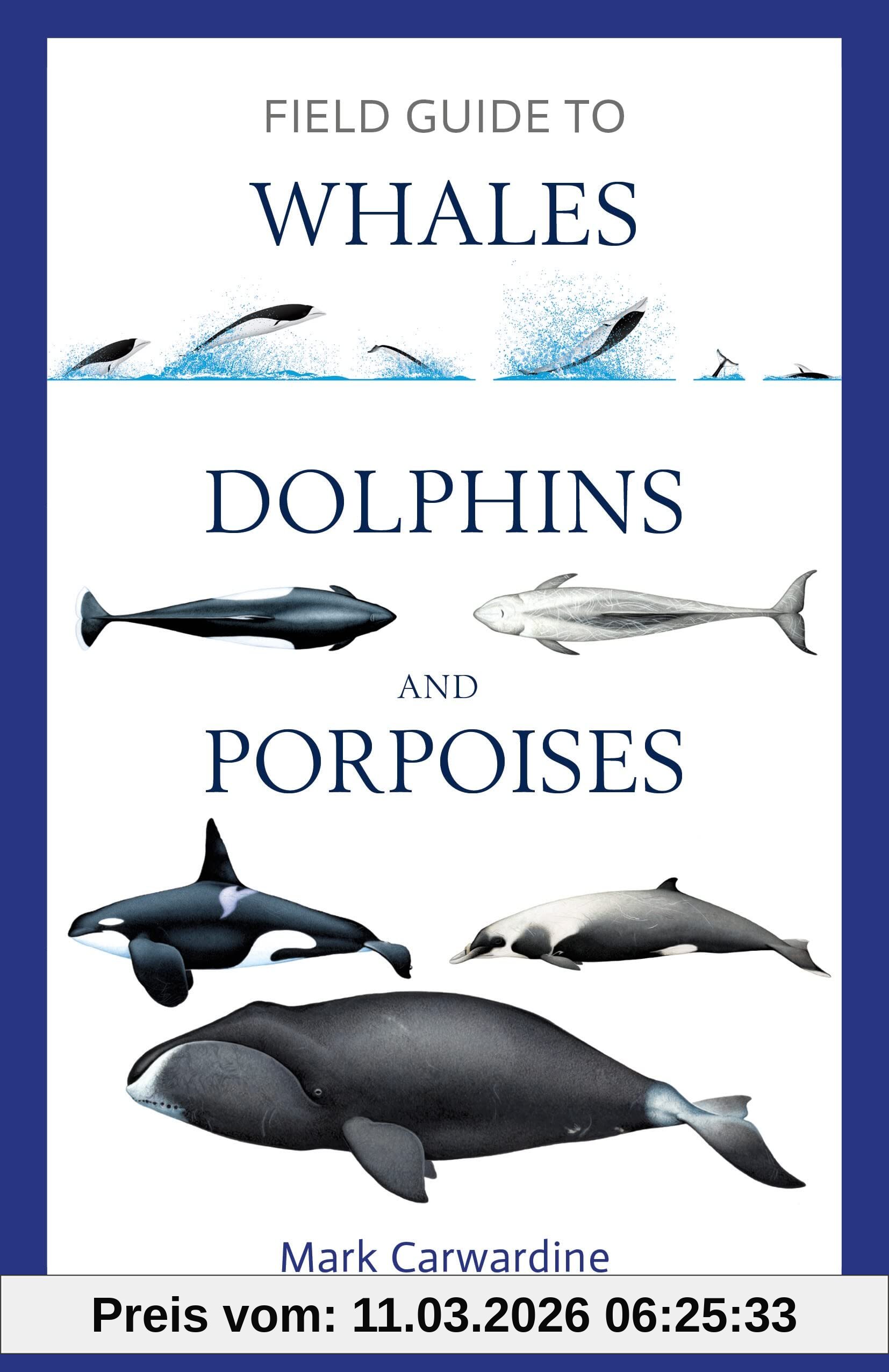 Mark Carwardine Field Guide To Whales, Dolphins And Porpoises (Bloomsbury Naturalist)