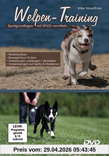Welpen-Training - Sportgrundlagen mit Spass vermitteln [2 DVDs]