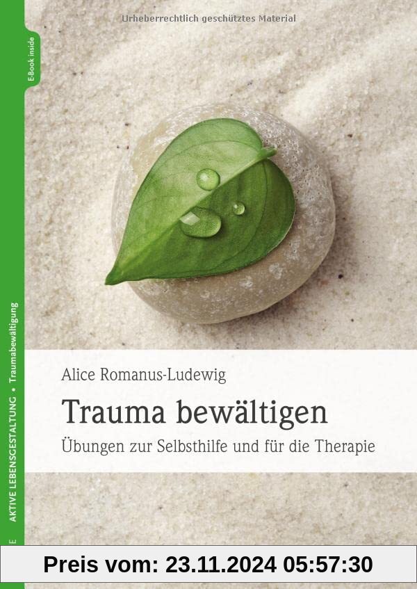 Trauma bewältigen: Übungen zur Selbsthilfe und für die Therapie