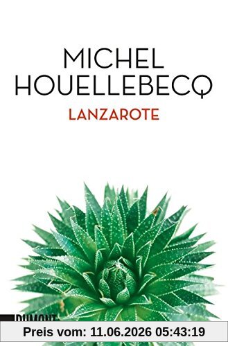 Lanzarote: Erzählung (Taschenbücher)