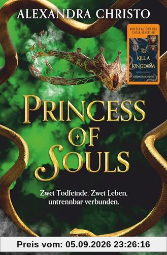 Princess of Souls: Mitreißende Enemies-to-Lovers-Romantasy der TikTok-Erfolgsautorin von ›To Kill a Kingdom‹ | Hochwertig veredelt