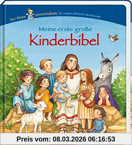 Erwin Grosche Meine Erste Große Kinderbibel