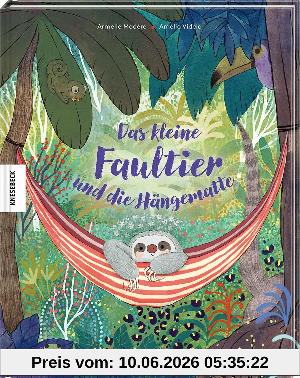 Das kleine Faultier und die Hängematte