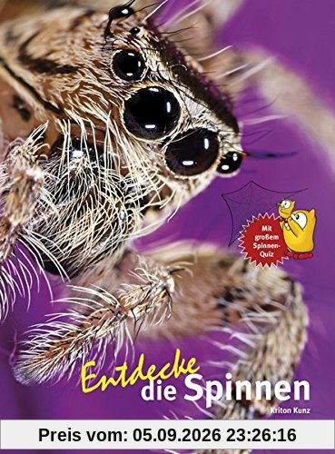 Entdecke die Spinnen (Entdecke - Die Reihe mit der Eule)