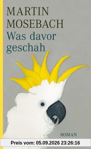 Was davor geschah: Roman