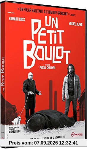 Un petit boulot [FR Import]