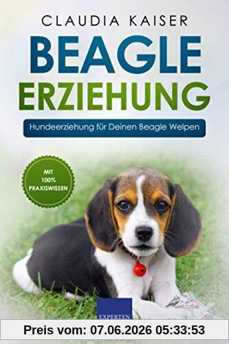 Beagle Erziehung: Hundeerziehung für Deinen Beagle Welpen