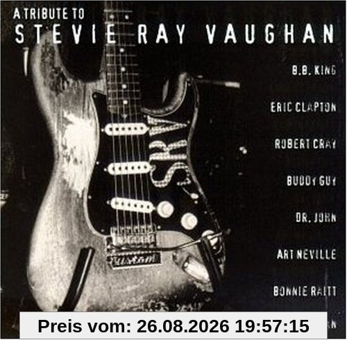 Tribute to Stevie Ray Vaughn