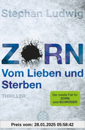 Zorn - Vom Lieben und Sterben: Thriller