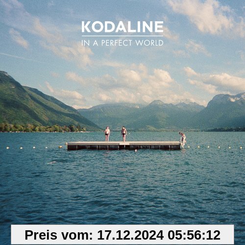 In a Perfect World [Vinyl LP]