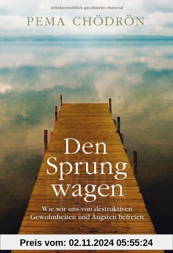 Den Sprung wagen: Wie wir uns von destruktiven Gewohnheiten und Ängsten befreien