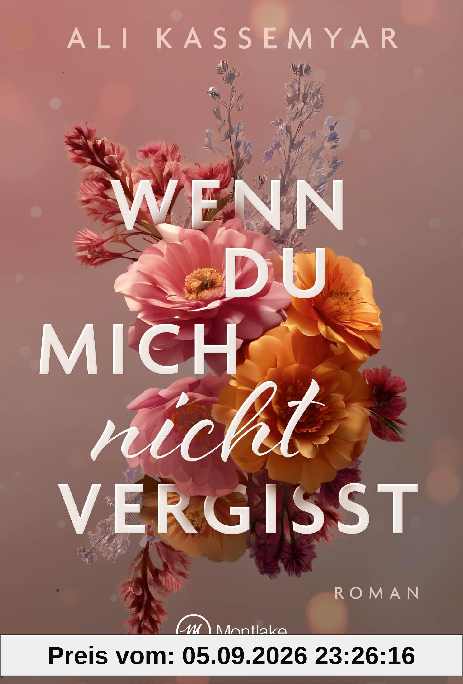 Wenn du mich nicht vergisst (Broken Hearts of Kingston, Band 1)