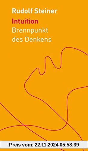 Intuition: Brennpunkt des Denkens (Die kleinen Begleiter)