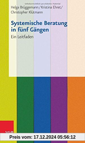 Systemische Beratung in fünf Gängen: Ein Leitfaden