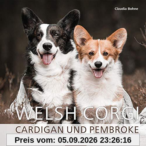 Welsh Corgi. Cardigan und Pembroke