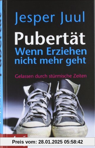 Pubertät - wenn Erziehen nicht mehr geht: Gelassen durch stürmische Zeiten