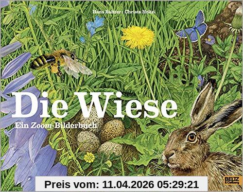 Die Wiese: Ein Zoom-Bilderbuch
