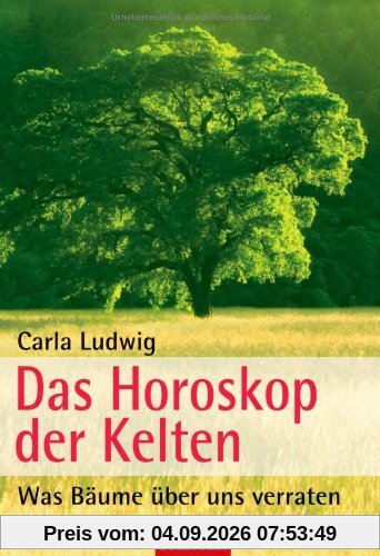 Das Horoskop der Kelten: Was Bäume über uns verraten